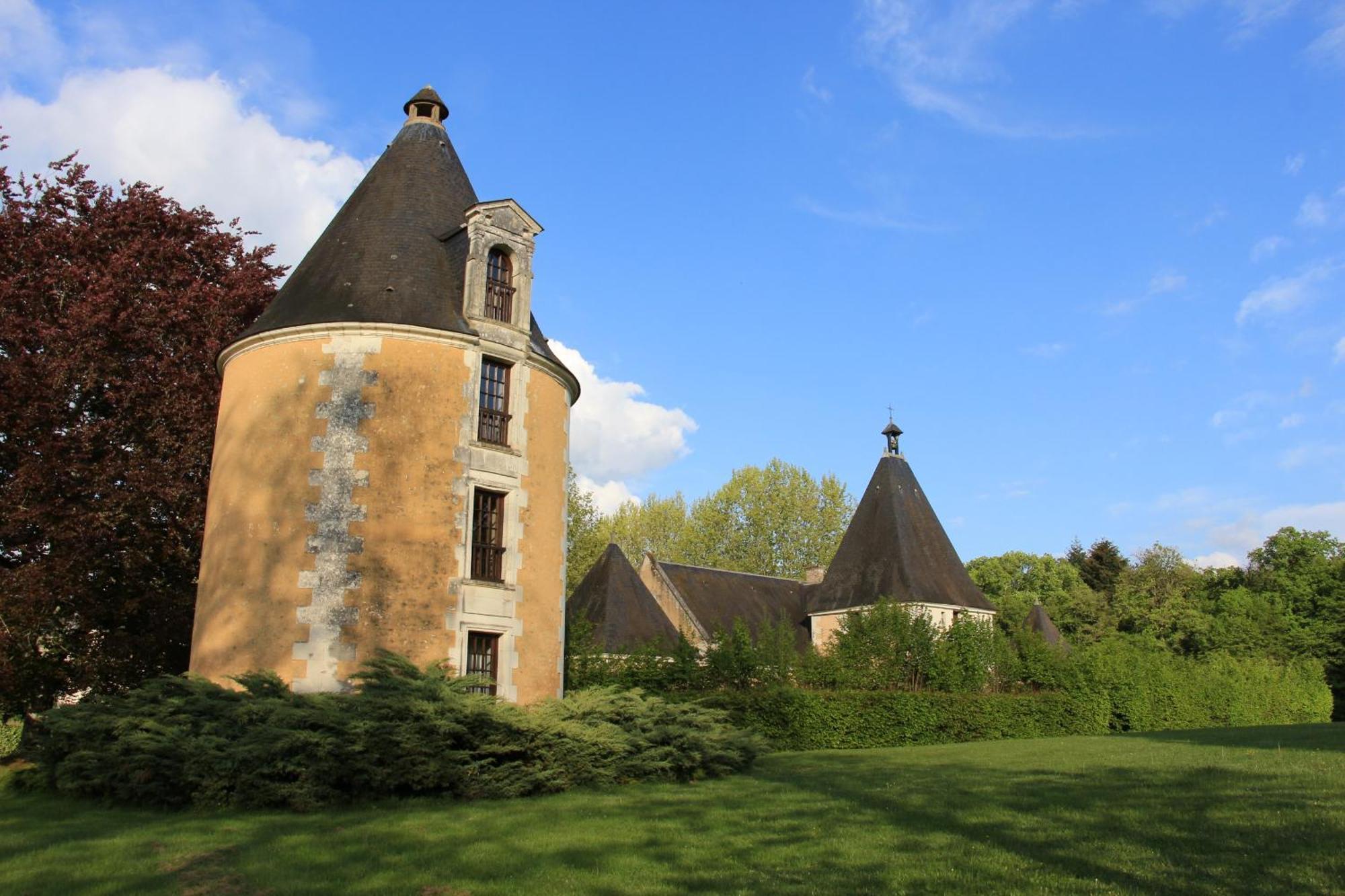 Chateau De La Menaudiere Chissay-en-Touraine المظهر الخارجي الصورة