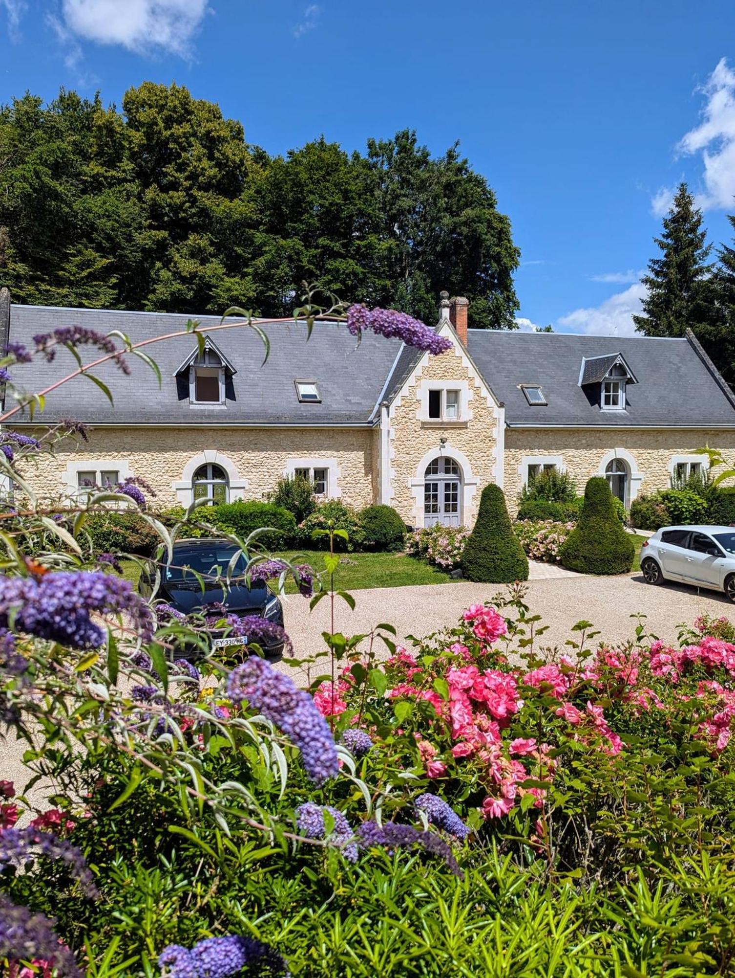 Chateau De La Menaudiere Chissay-en-Touraine المظهر الخارجي الصورة