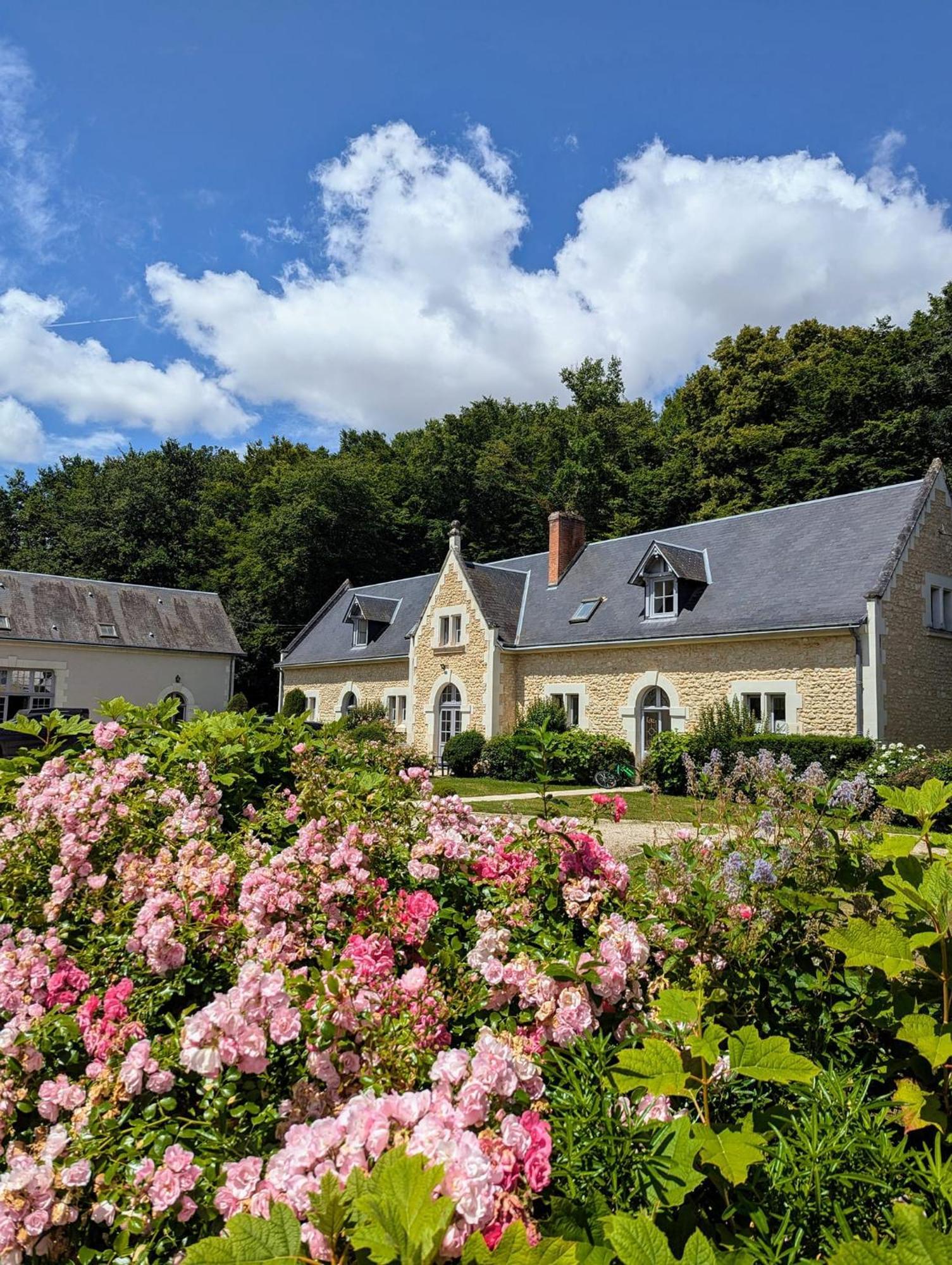 Chateau De La Menaudiere Chissay-en-Touraine المظهر الخارجي الصورة